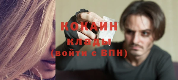 дмт Арсеньев