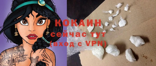 дмт Арсеньев
