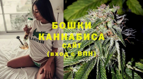 дмт Арсеньев