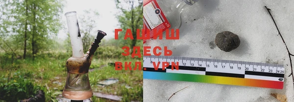 прущие грибы Аркадак