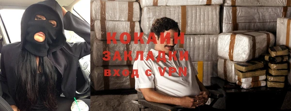 прущие грибы Аркадак