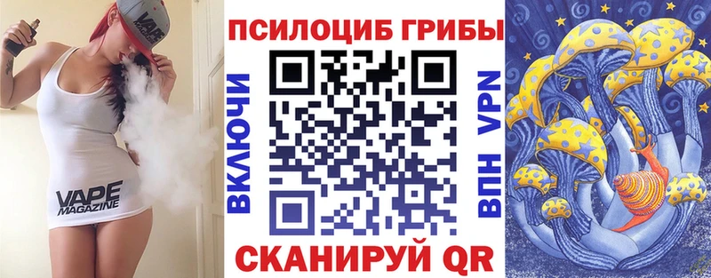 Купить  Урень  Галлюциногенные грибы Psilocybe 